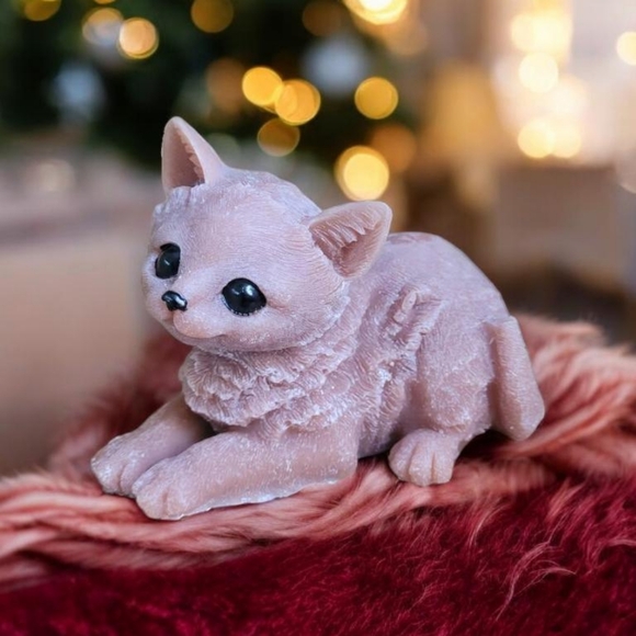 Meet your Posher, Vanyty - Picture 4 of 6